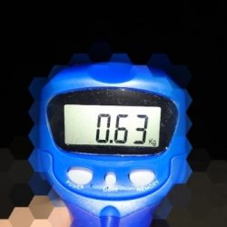 エギング釣行 その39